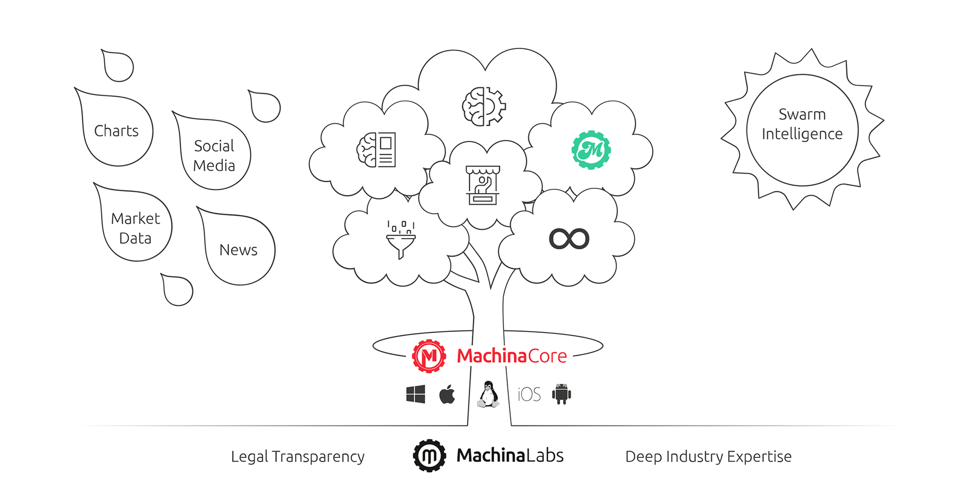 mt inst 8 graph tree hd